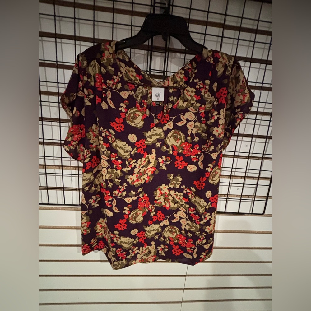 Cabi new with tags “A La Mode” top